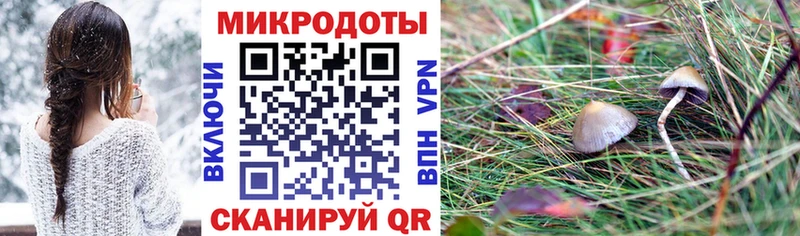 Галлюциногенные грибы Psilocybine cubensis  наркотики  Сызрань 