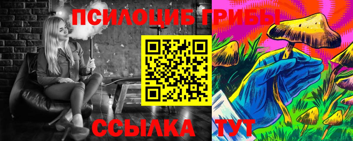Псилоцибиновые грибы Cubensis  Вход с VPN  Сызрань 