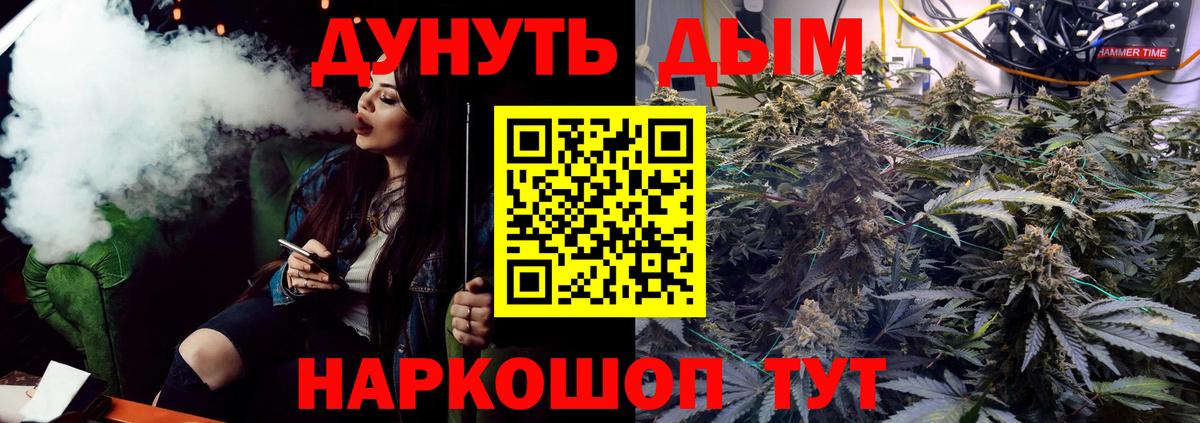 МАРИХУАНА сатива Сызрань